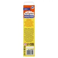 Краски акварельные Calligrata, 6 цветов, без кисти, картон