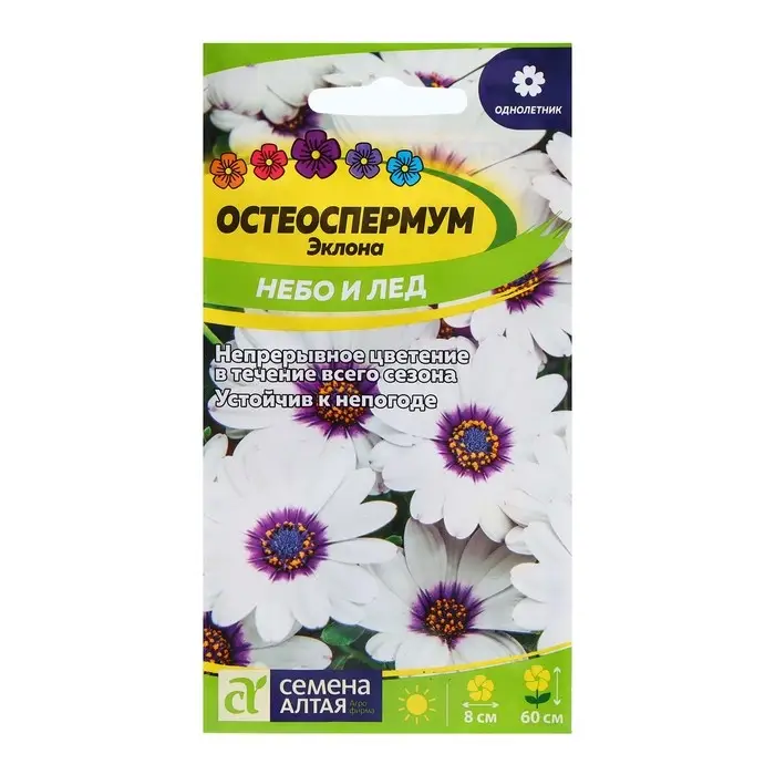 Семена Остеоспермум "Небо и Лед", ц/п,  0,1 гр.