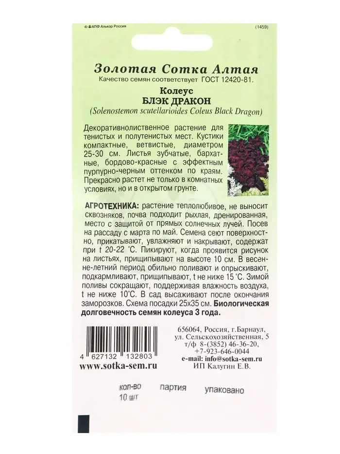 Семена Ком: Колеус Блэк Дракон /Сотка/ 10шт/ бордо. h-35см PanAm/*500 Семена Ком: Колеус Блэк Дракон /Сотка/ 10шт/ бордо. h-35см PanAm/*500