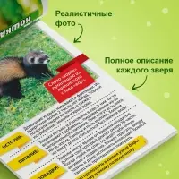 Мини - энциклопедии &laquo;Мир животных&raquo;, 8 шт. по 20 стр.