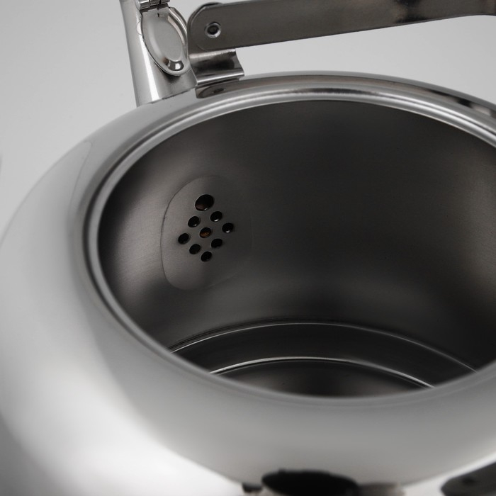 Чайник из нержавеющей стали, 5 л, капсульное дно, индукция