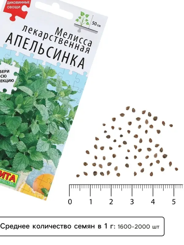 Семена Мелисса лекарственная &laquo;Апельсинка&raquo;, 5 шт., &laquo;Аэлита&raquo;