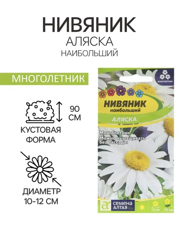 Семена цветов Нивяник "Аляска", ц/п,  0,1 г