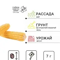 Семена Кукуруза сахарная &laquo;Ранняя лакомка 121&raquo;, 7 г, раннеспелая, &laquo;Аэлита&raquo;