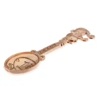 Кошельковый талисман: ложка загребушка &laquo;Денежная&raquo;, 4.6&times;1.2 см