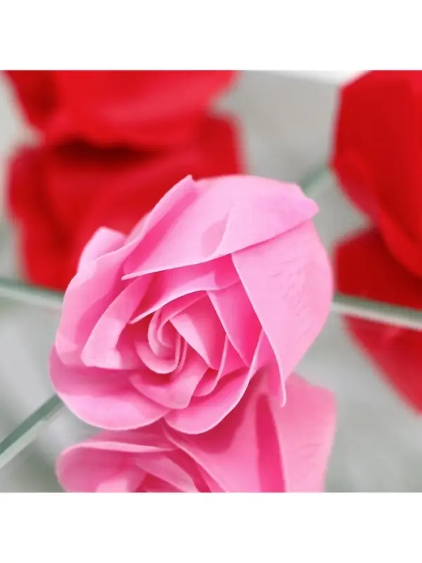 Мыльные розочки, красные и розовые, набор 11 шт., в коробке