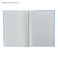 Книга учёта А4, 96 листов, в клетку, твёрдая обложка, газетный блок