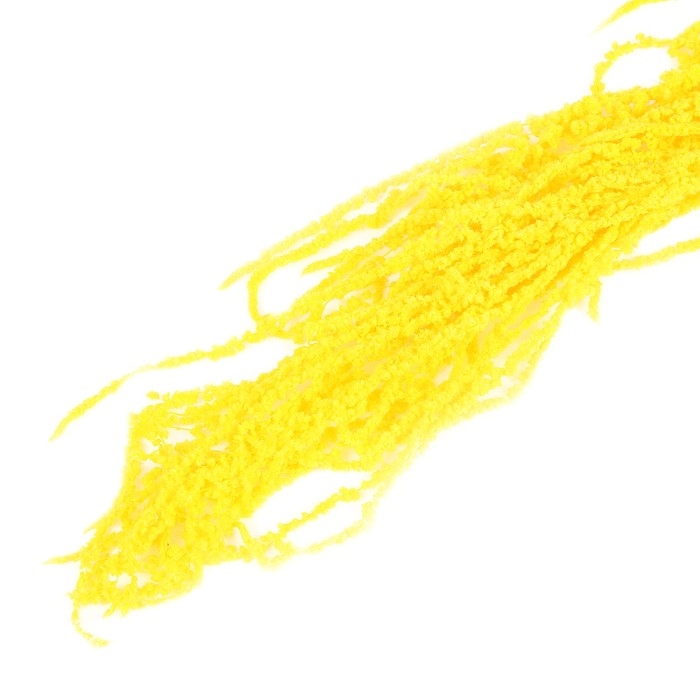 Сухие цветы амаранта, 100 г, размер листа: от 50 до 60 см, цвет жёлтый Сухие цветы амаранта, 100 г, размер листа: от 50 до 60 см, цвет жёлтый