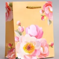 Пакет подарочный ламинированный &laquo;Душевная радость&raquo;, 11.5&times;14.5&times;6.5 см