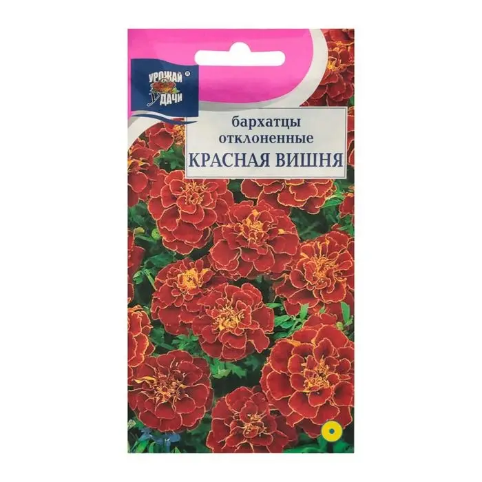 Семена цветов Бархатцы отклоненные  Семена цветов Бархатцы отклоненные "Красная вишня", 0,3 г