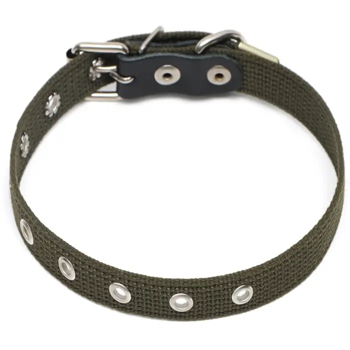 Ошейник брезентовый однослойный, безразмерный, 52&times;2 см, ОШ 23-46 см, хаки