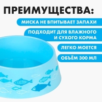 Миска пластиковая «Рыбы», голубая, 300 мл