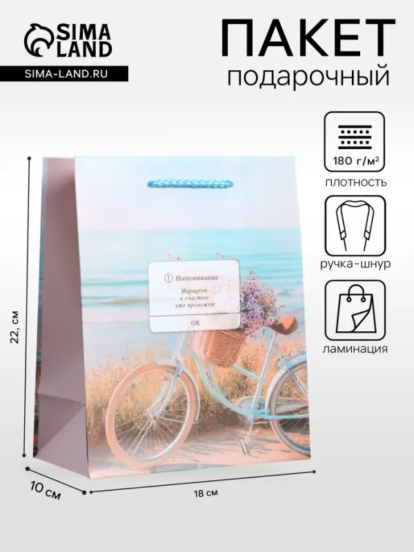 Пакет подарочный ламинированный &laquo;Путь к мечте&raquo;, 18&times;22.3&times;10 см