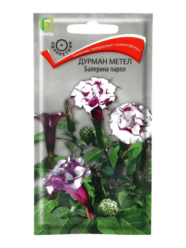 Семена цветов Дурман метел "Балерина парпл", 3шт.