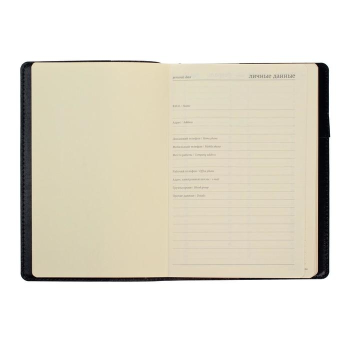 Ежедневник полудатированный А5, 208 листов Profy, рециклированная кожа, сменный блок, золотой срез, чёрный Ежедневник полудатированный А5, 208 листов Profy, рециклированная кожа, сменный блок, золотой срез, чёрный