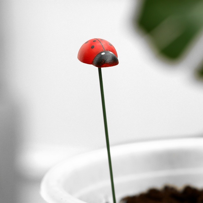Штекер Штекер "Божья коровка Дарли" 2,5см, длина 25см, набор 10шт