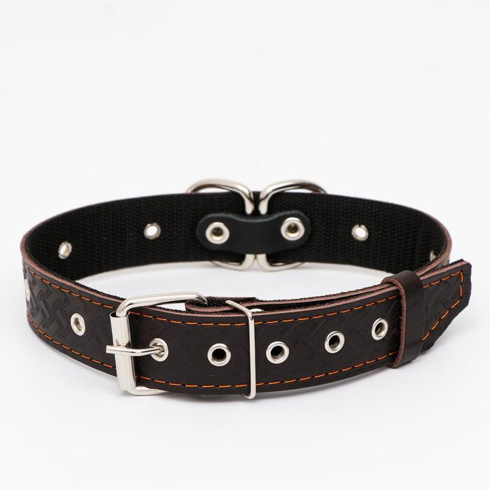 Ошейник кожаный усиленный капроном с полукольцом, 62 х 3,5 см, ОШ 33-60 см, коричневый Ошейник кожаный усиленный капроном с полукольцом, 62 х 3,5 см, ОШ 33-60 см, коричневый