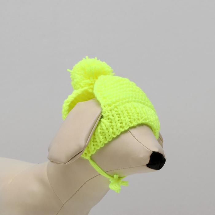 Шапка вязаная для собак, XS-S (объем головы 22-24 см, высота 7,5 см), микс Шапка вязаная для собак, XS-S (объем головы 22-24 см, высота 7,5 см), микс