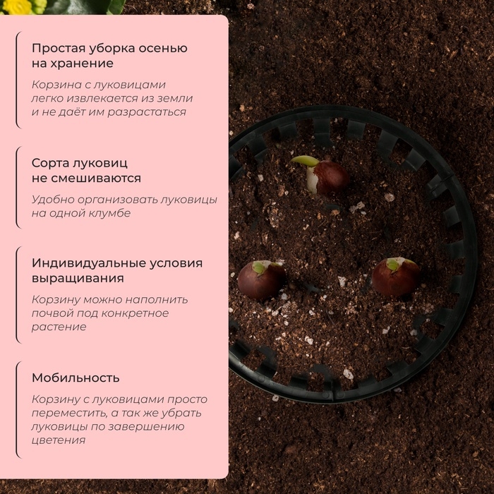 Корзина для луковичных, круглая, d = 30 см, h = 8 см, чёрная Корзина для луковичных, круглая, d = 30 см, h = 8 см, чёрная