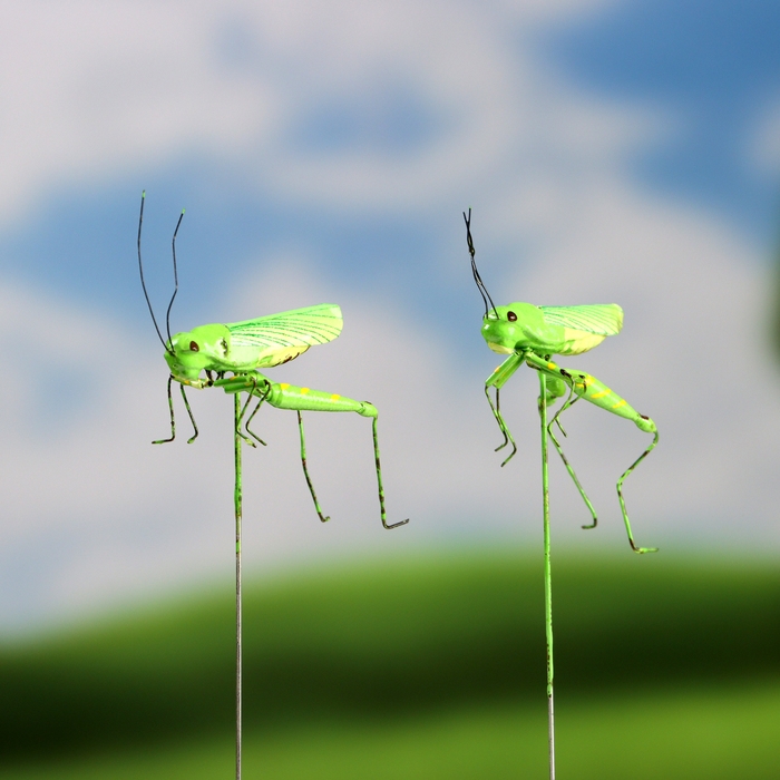 Штекер  Штекер "Кузнечик зеленый" 3х5см/22см, набор 2шт