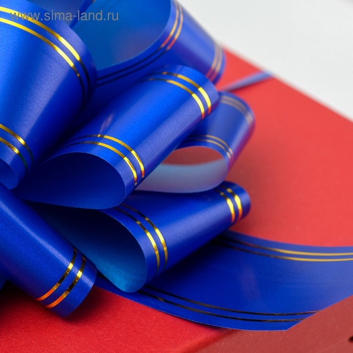 Бант-шар №5 Бант-шар №5 "Золотые полосы", цвет синий