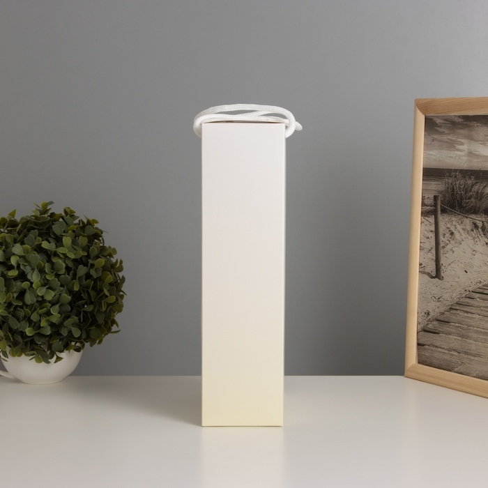 Ночник «Букет» (медведь) LED 3хAG10 8х17х29см Ночник «Букет» (медведь) LED 3хAG10 8х17х29см