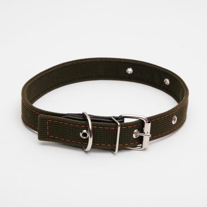 Ошейник брезентовый двухслойный, 62 х 3 см, ОШ 30-55 см, тёмно-зелёный Ошейник брезентовый двухслойный, 62 х 3 см, ОШ 30-55 см, тёмно-зелёный