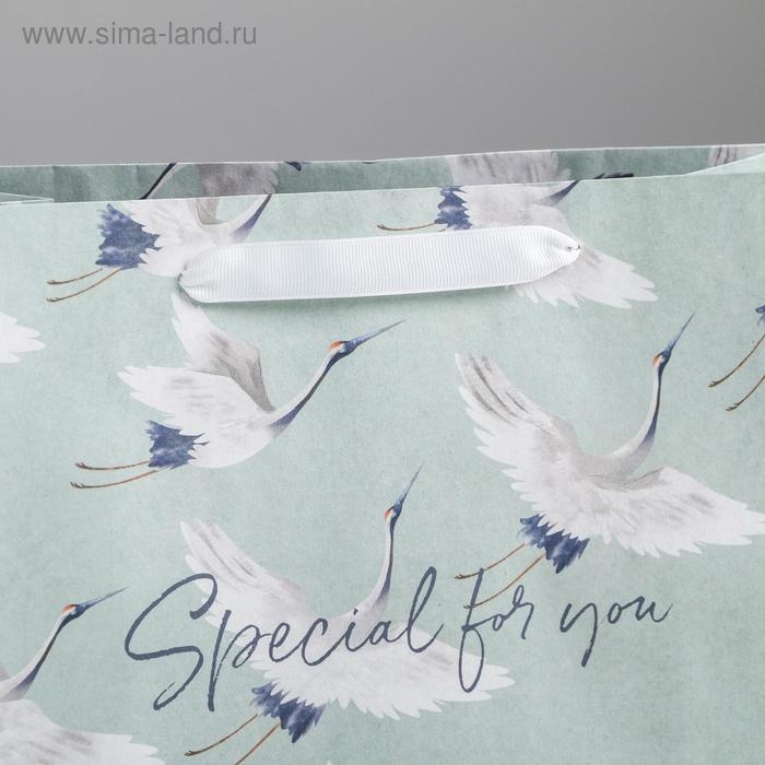 Пакет подарочный крафтовый горизонтальный, упаковка, Special for you, 27 х 23 х 11,5 см Пакет подарочный крафтовый горизонтальный, упаковка, Special for you, 27 х 23 х 11,5 см