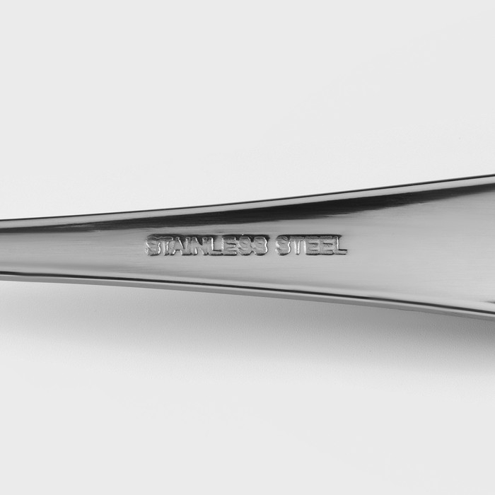 Ложка столовая из нержавеющей стали Доляна &laquo;Таун&raquo;, длина 20,5 см, толщина 2 мм, цвет серебряный