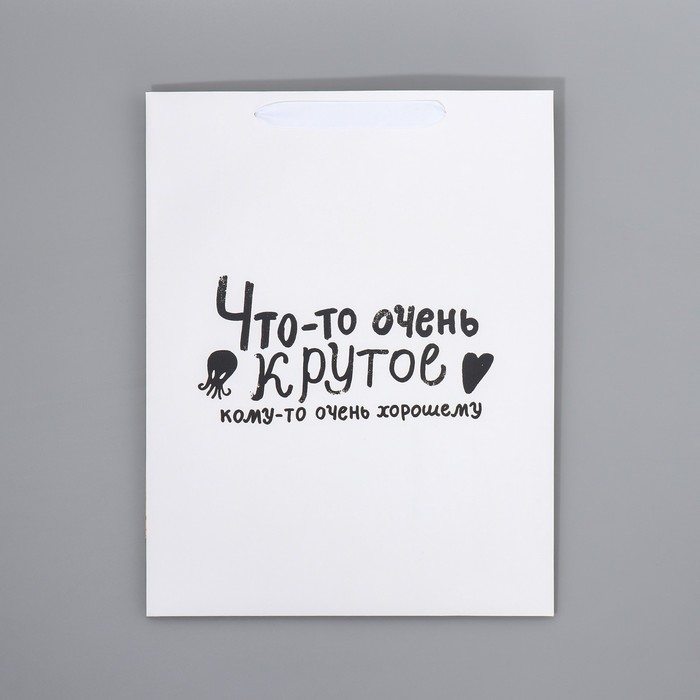 Пакет подарочный ламинированный двухсторонний, упаковка, «Что-то очень крутое», L 40 х 31 х 11,5 см Пакет подарочный ламинированный двухсторонний, упаковка, «Что-то очень крутое», L 40 х 31 х 11,5 см