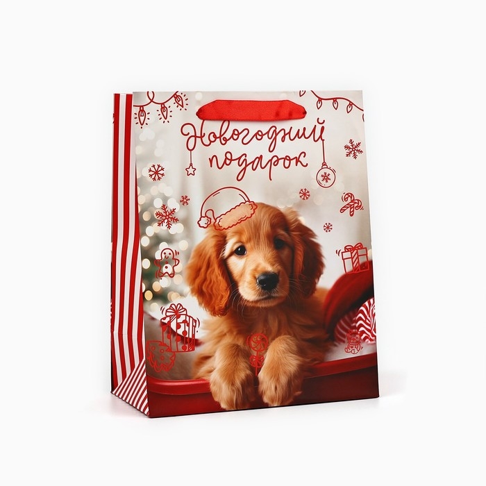 Пакет подарочный новогодний ламинированный «Новогодний подарок», MS 18 х 23 х 10 см , Новый год