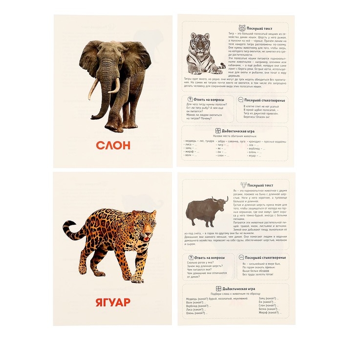 Обучающие карточки «Дикие животные»