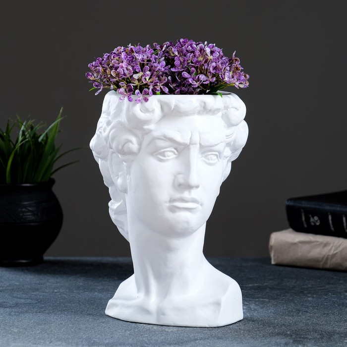 Кашпо - органайзер Кашпо - органайзер "Давид" белое, 1,25л/ 21х15х16см