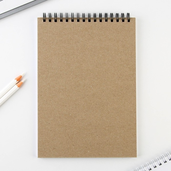 Скетчбук А5, 40 л 100 г/м2 &laquo;Котозарисовки&raquo;