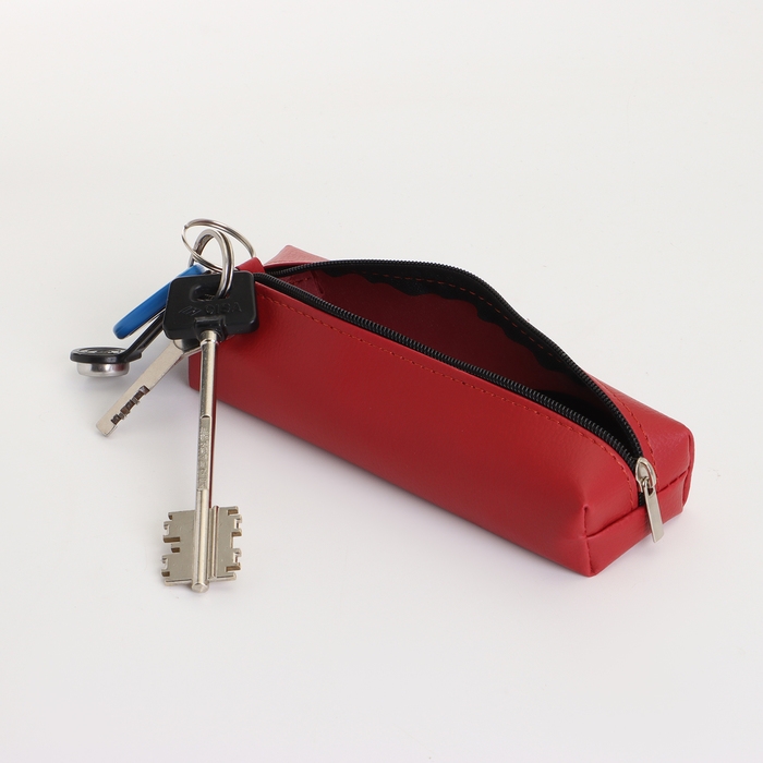 Ключница на молнии, длина 16 см, кольцо, карабин, цвет красный Ключница на молнии, длина 16 см, кольцо, карабин, цвет красный