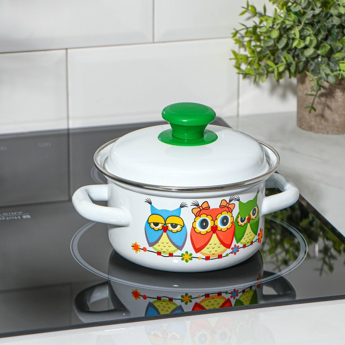 Набор посуды &laquo;Совушки&raquo;, 4 предмета: кружка 250 мл, миска 800 мл, ковш 1 л, кастрюля 1 л, индукция