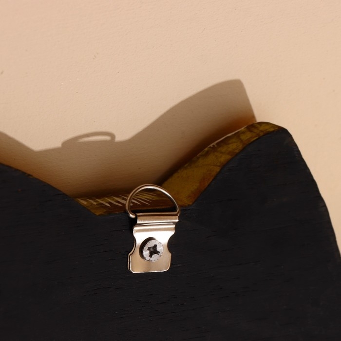 Декоративные крючки Декоративные крючки "Семья" 58х6х22 см