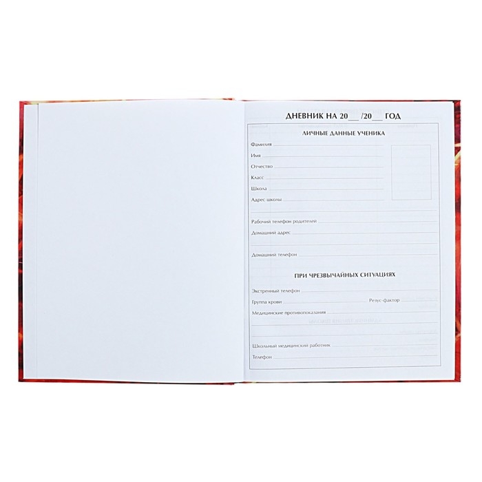 Дневник для 5-11 классов Дневник для 5-11 классов "Аниме. Парень", твёрдая обложка, глянцевая ламинация, 48 листов