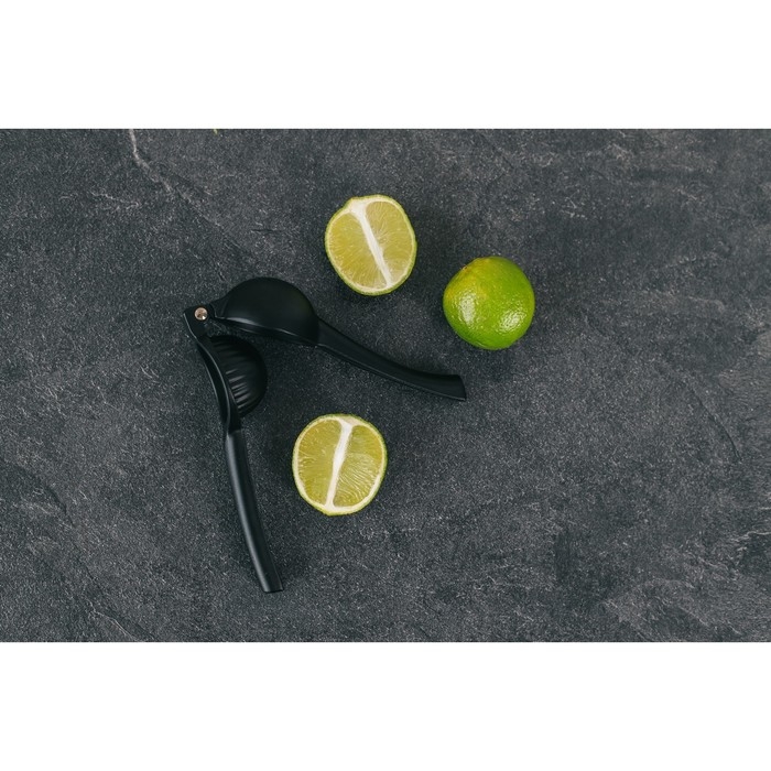 Пресс для цитрусовых Magistro Alum black, цвет чёрный Пресс для цитрусовых Magistro Alum black, цвет чёрный