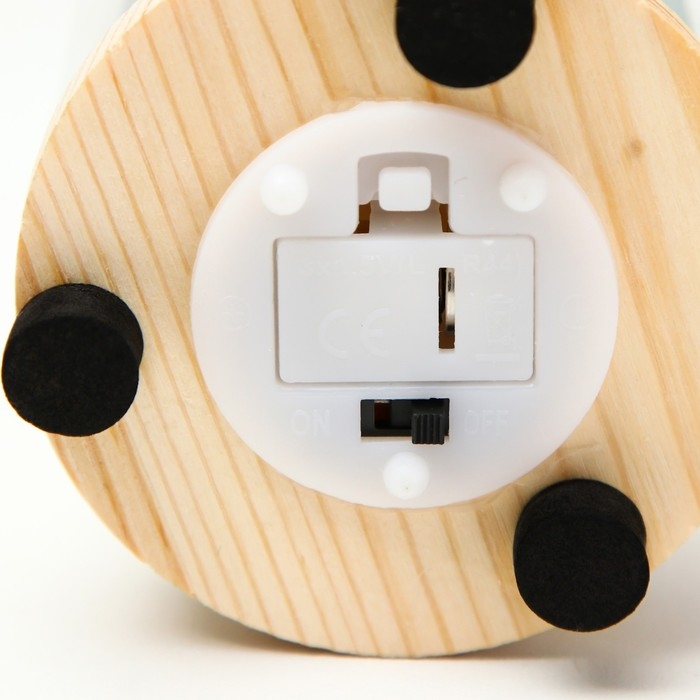 Ночник колба Ночник колба "Летний день" LED от батареек 3хLR44 7,5х7,5х19 см RISALUX