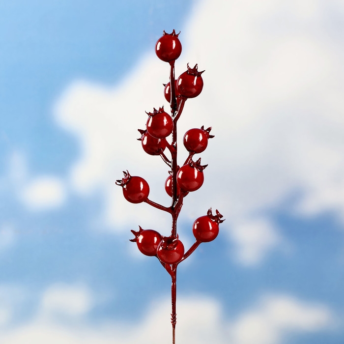 Штекер "Ягодки" 4х20/7х18/6х15/7х18см, набор 9шт