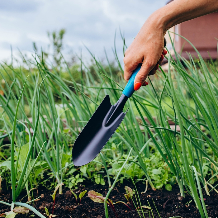 Совок посадочный Greengo, длина 30 см, ширина 5,5 см, пластиковая ручка Совок посадочный Greengo, длина 30 см, ширина 5,5 см, пластиковая ручка