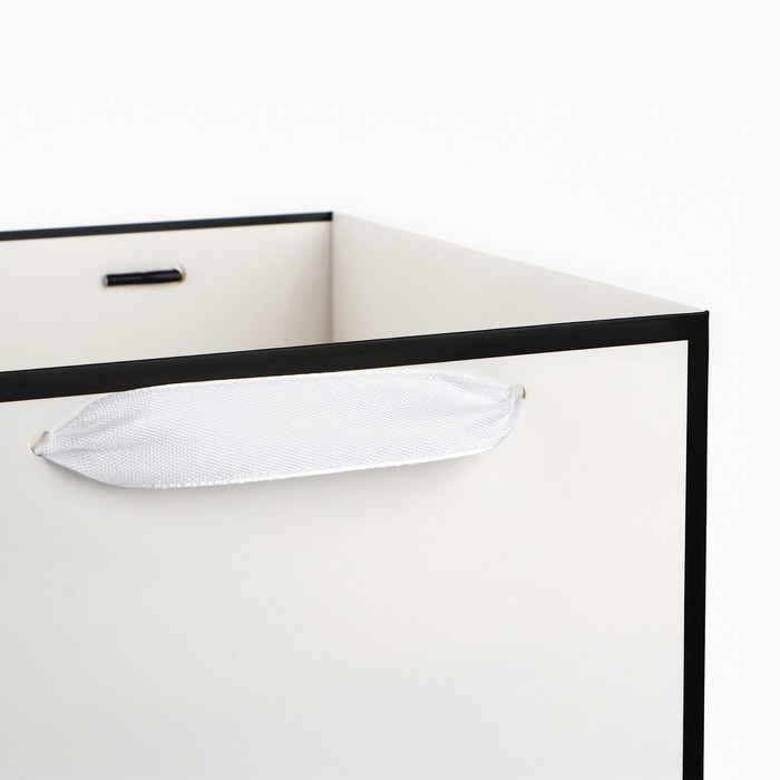 Переноска для цветов с вкладышем для фиксации, «Счастье», белый, 35 х 20 х 20 см Переноска для цветов с вкладышем для фиксации, «Счастье», белый, 35 х 20 х 20 см