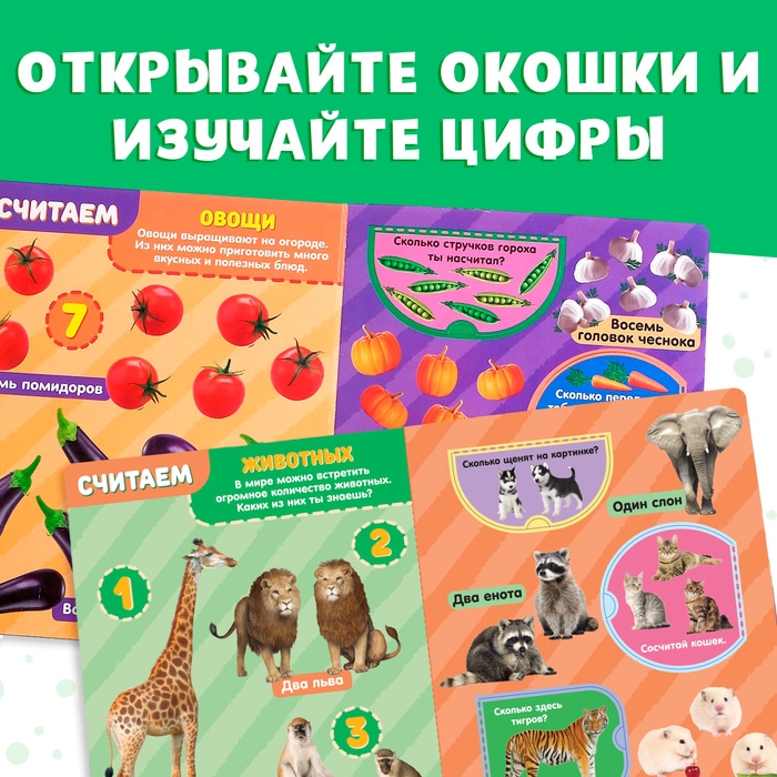 Книжка картонная с окошками «Цифры», 10 стр. Книжка картонная с окошками «Цифры», 10 стр.