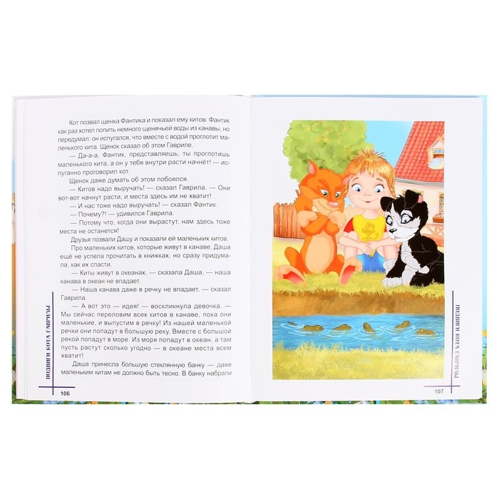 Книжка «Понарошкино. Сказочный городок», Шевченко А. А. Книжка «Понарошкино. Сказочный городок», Шевченко А. А.