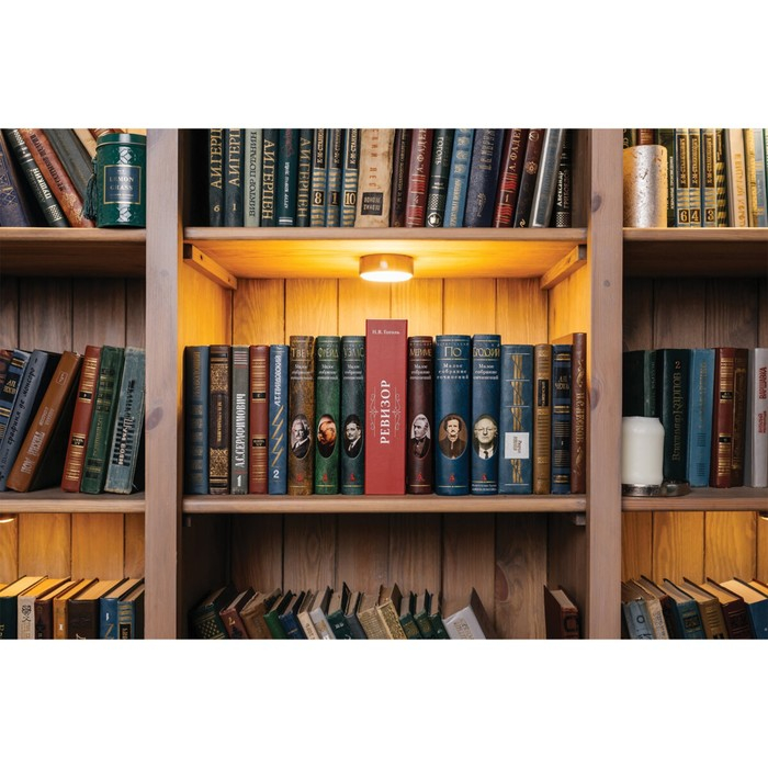Сейф-книга  Сейф-книга "Ревизор", 5,5х15,5х24 см, ключевой замок