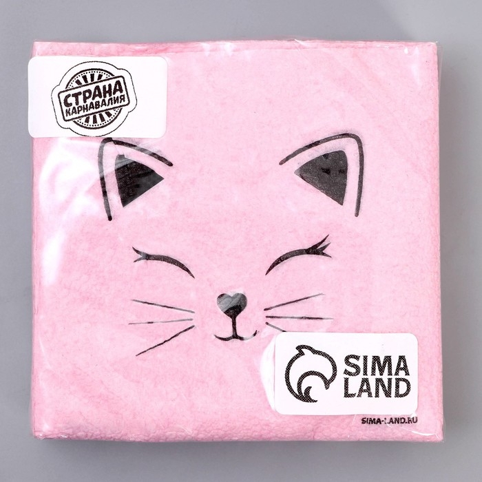 Салфетки бумажные однослойные «Кошечка», 24 × 24 см, в наборе 20 шт. Салфетки бумажные однослойные «Кошечка», 24 × 24 см, в наборе 20 шт.