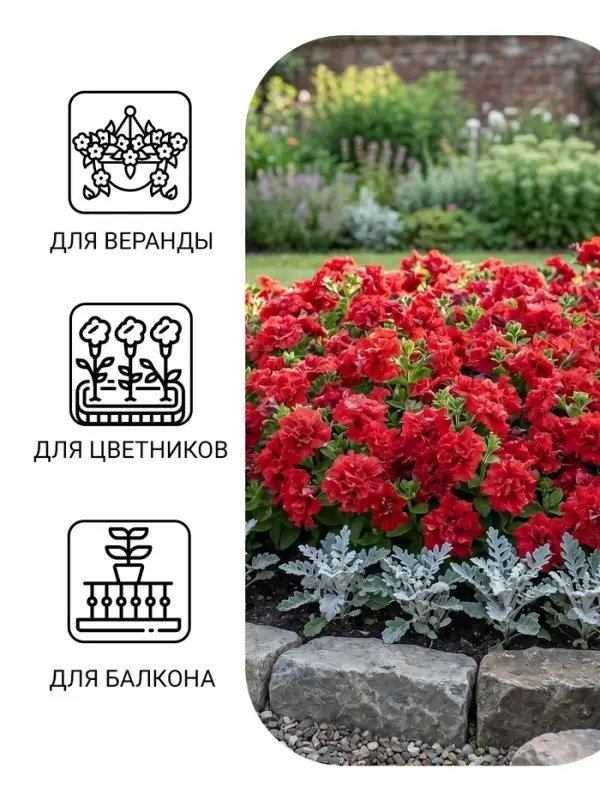 Семена цветов Петуния &laquo;Валентайн F1&raquo;, махровая, крупноцветковая, однолетник, гранулы, &laquo;Гавриш&raquo;
