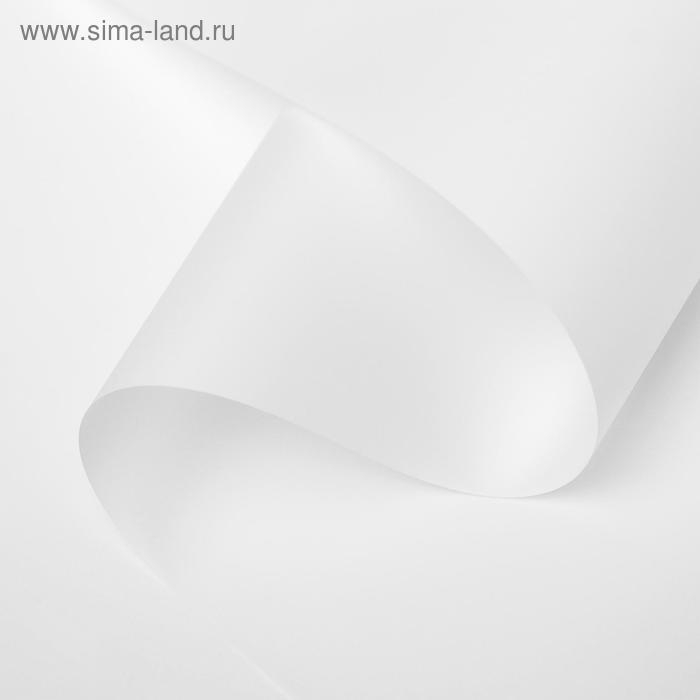 Пленка для цветов Пленка для цветов "Люкс", матовая, белая, 0,6 х 10 м, 200 г, 40 мкм