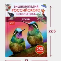 Энциклопедия российского школьника &laquo;Птицы&raquo;